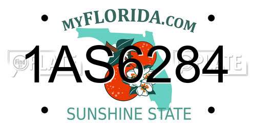 1AS6284 Florida License Plate