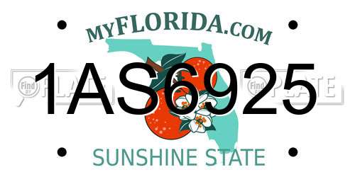 1AS6925 Florida License Plate