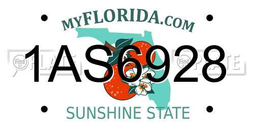 1AS6928 Florida License Plate