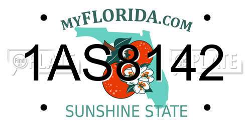 1AS8142 Florida License Plate