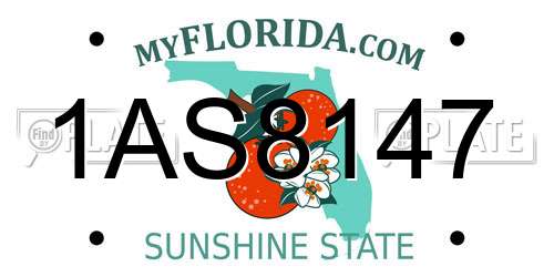 1AS8147 Florida License Plate