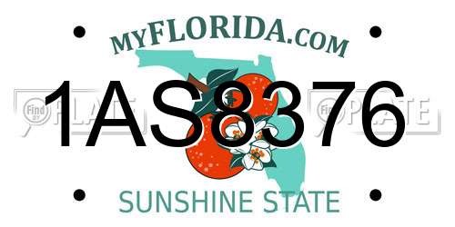 1AS8376 Florida License Plate