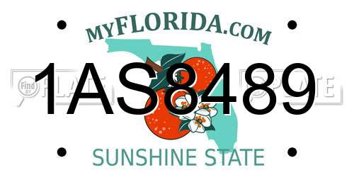 1AS8489 Florida License Plate