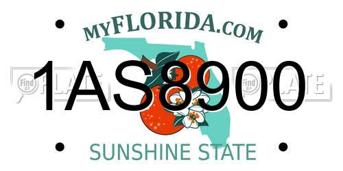 1AS8900 Florida License Plate