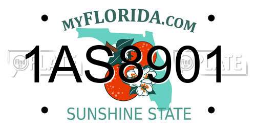 1AS8901 Florida License Plate