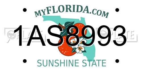 1AS8993 Florida License Plate