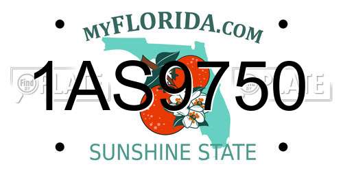 1AS9750 Florida License Plate