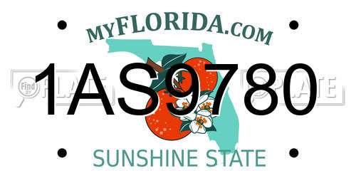 1AS9780 Florida License Plate