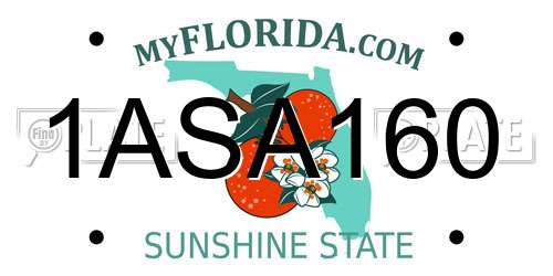 1ASA160 Florida License Plate
