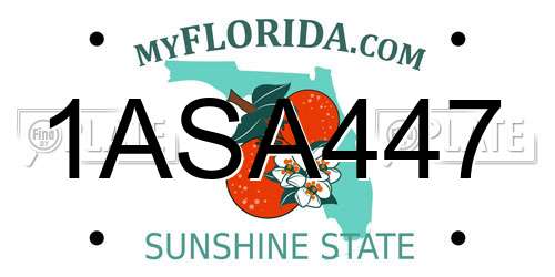 1ASA447 Florida License Plate
