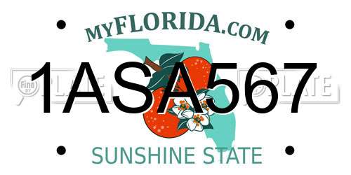 1ASA567 Florida License Plate