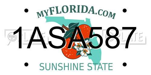 1ASA587 Florida License Plate