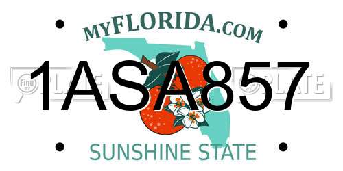 1ASA857 Florida License Plate