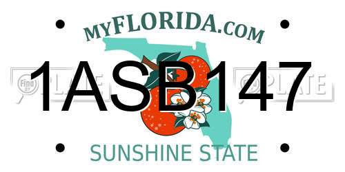 1ASB147 Florida License Plate