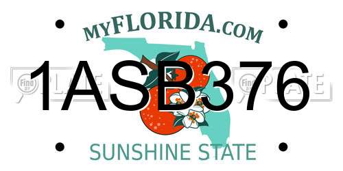 1ASB376 Florida License Plate