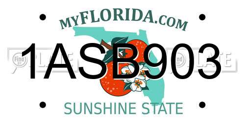 1ASB903 Florida License Plate