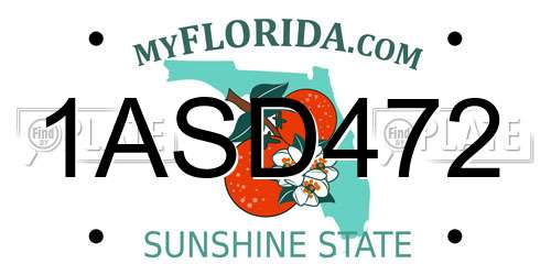1ASD472 Florida License Plate