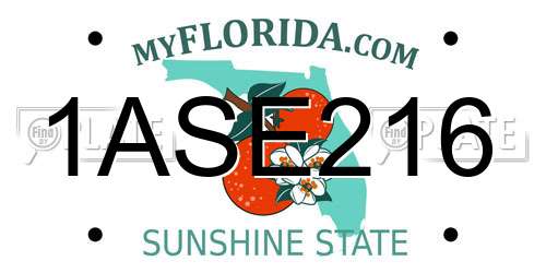 1ASE216 Florida License Plate