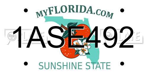 1ASE492 Florida License Plate