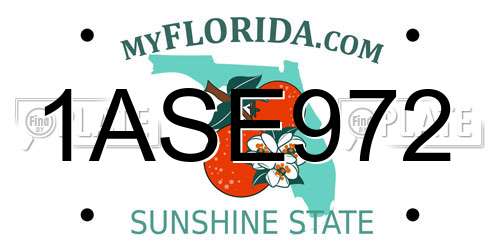 1ASE972 Florida License Plate