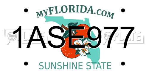 1ASE977 Florida License Plate