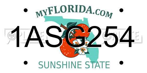 1ASG254 Florida License Plate