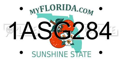 1ASG284 Florida License Plate