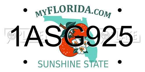1ASG925 Florida License Plate