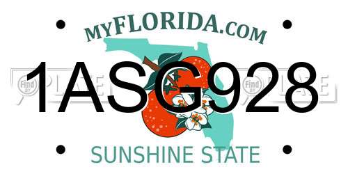1ASG928 Florida License Plate
