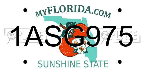 1ASG975 Florida License Plate