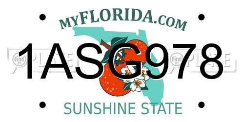 1ASG978 Florida License Plate