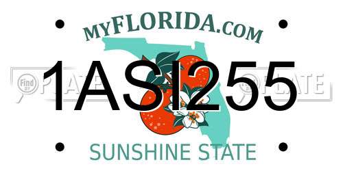 1ASI255 Florida License Plate