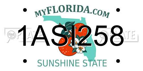 1ASI258 Florida License Plate