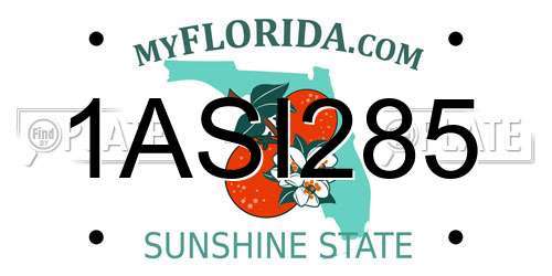 1ASI285 Florida License Plate