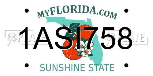 1ASI758 Florida License Plate
