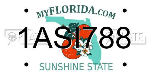 1ASI788 Florida License Plate