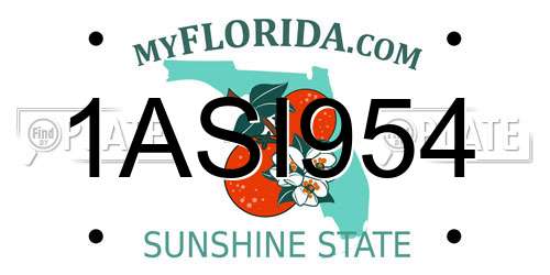 1ASI954 Florida License Plate