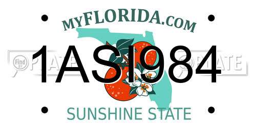 1ASI984 Florida License Plate