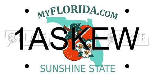 1ASKEW Florida License Plate