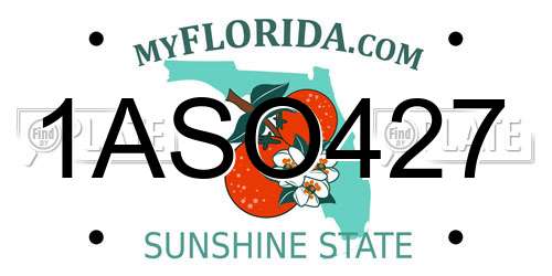1ASO427 Florida License Plate