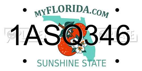 1ASQ346 Florida License Plate
