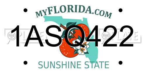 1ASQ422 Florida License Plate