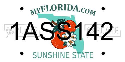 1ASS142 Florida License Plate