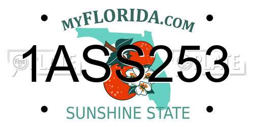 1ASS253 Florida License Plate