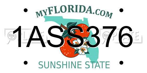 1ASS376 Florida License Plate