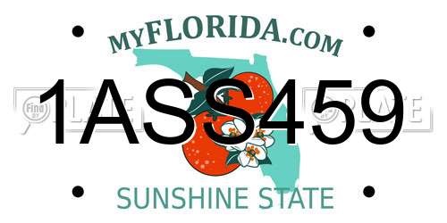 1ASS459 Florida License Plate