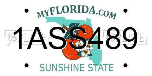 1ASS489 Florida License Plate