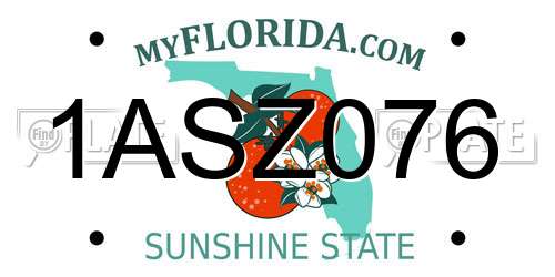 1ASZ076 Florida License Plate