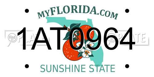 1AT0964 Florida License Plate