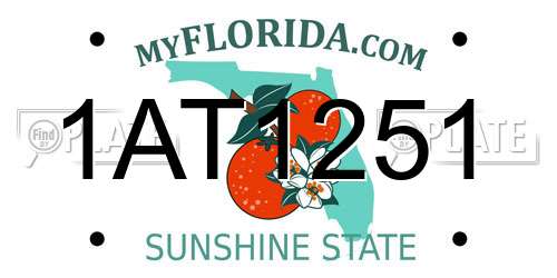 1AT1251 Florida License Plate